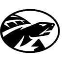 Tampa Prep Terrapins logo