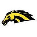 Mitchell Mustangs logo