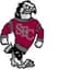 Santa Fe Hawks logo