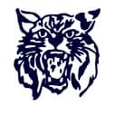 McKeel Academy Wildcats logo